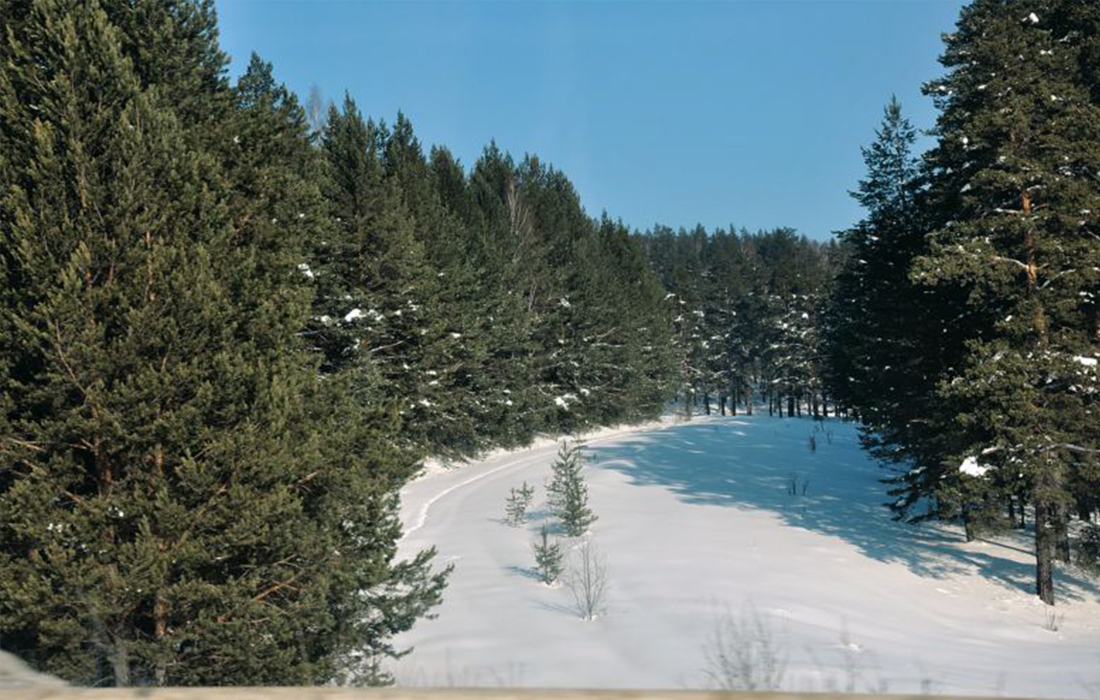 Aldego Hotel & Spa, Абзаково